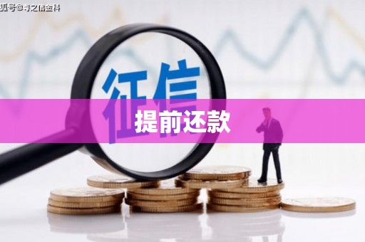 路环岛提前还款