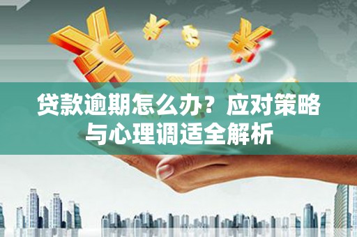 路环岛贷款逾期怎么办？应对策略与心理调适全解析