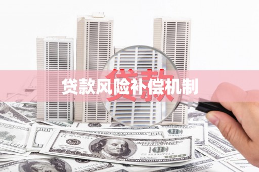 路环岛贷款风险补偿机制