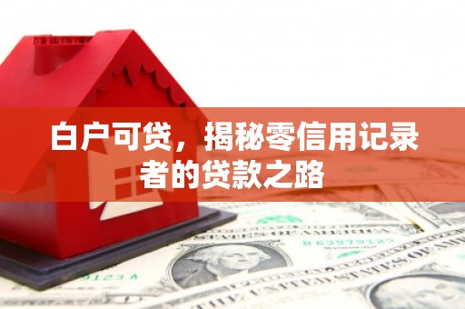 路环岛白户可贷，揭秘零信用记录者的贷款之路