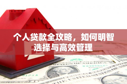 路环岛个人贷款全攻略，如何明智选择与高效管理