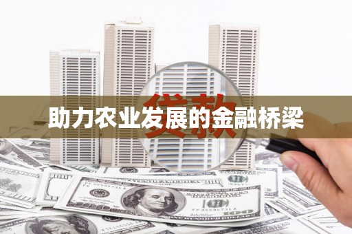 路环岛助力农业发展的金融桥梁