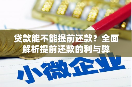 路环岛贷款能不能提前还款？全面解析提前还款的利与弊