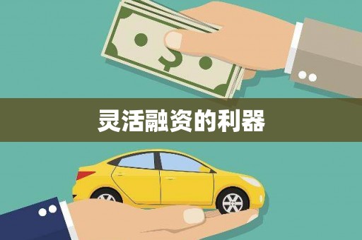 路环岛灵活融资的利器