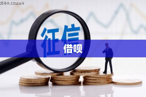路环岛借呗