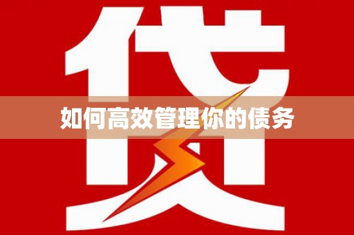 路环岛如何高效管理你的债务