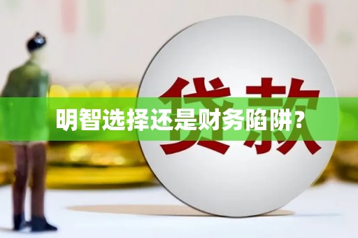 路环岛明智选择还是财务陷阱？