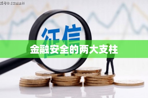 路环岛金融安全的两大支柱