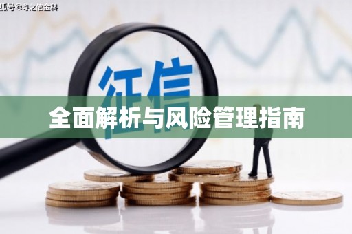 路环岛全面解析与风险管理指南
