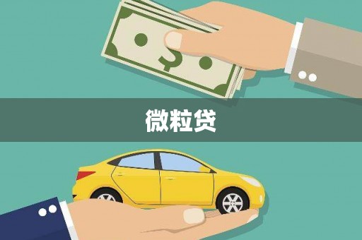 路环岛微粒贷