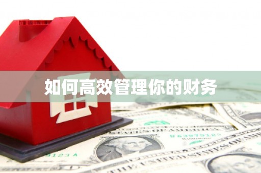 路环岛如何高效管理你的财务