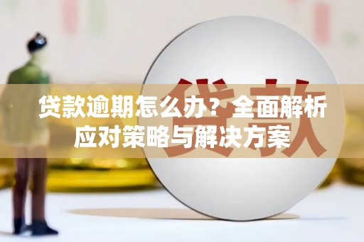 路环岛贷款逾期怎么办？全面解析应对策略与解决方案