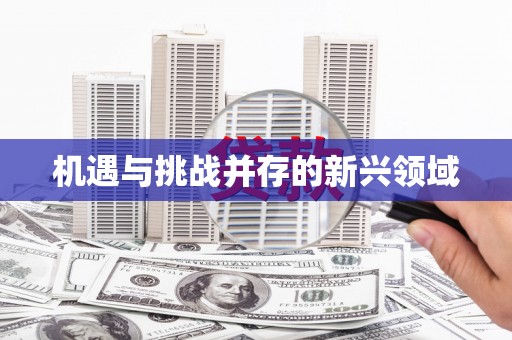 路环岛机遇与挑战并存的新兴领域