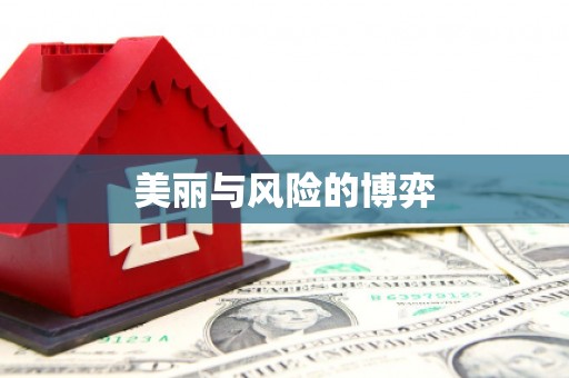 路环岛美丽与风险的博弈