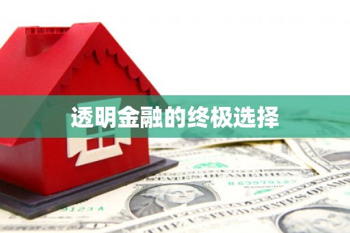 路环岛透明金融的终极选择