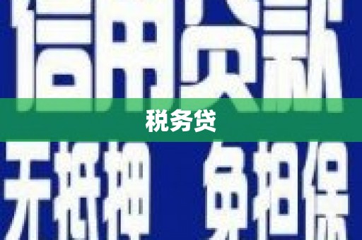 路环岛税务贷