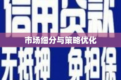 路环岛市场细分与策略优化