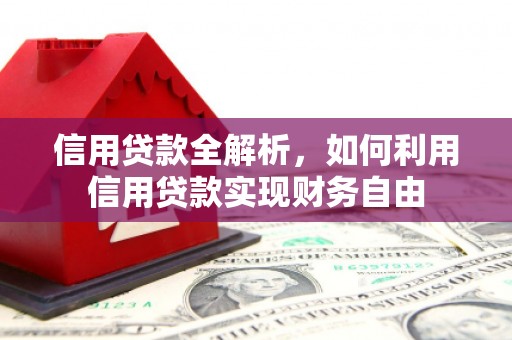 路环岛信用贷款全解析，如何利用信用贷款实现财务自由