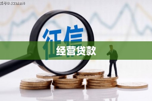 路环岛经营贷款