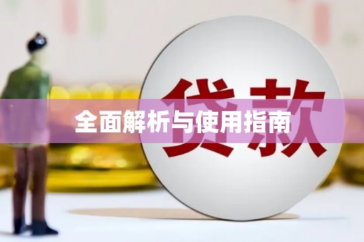 路环岛全面解析与使用指南