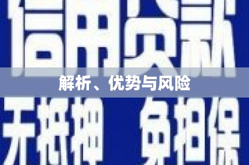 路环岛解析、优势与风险
