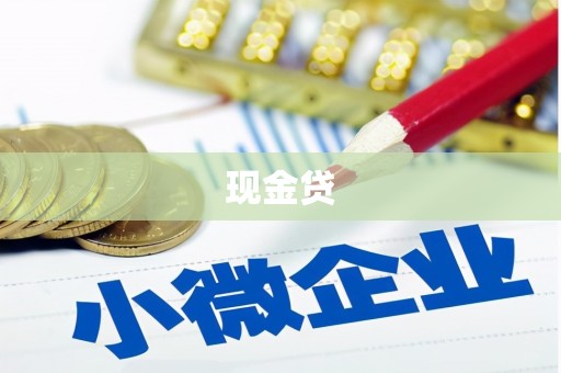 路环岛现金贷