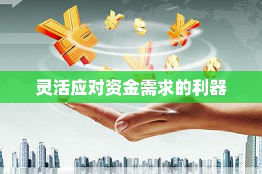 路环岛灵活应对资金需求的利器