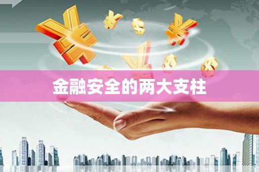 路环岛金融安全的两大支柱