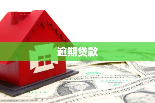 路环岛逾期贷款