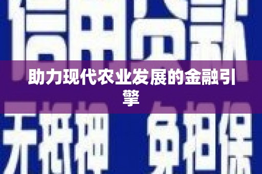 路环岛助力现代农业发展的金融引擎