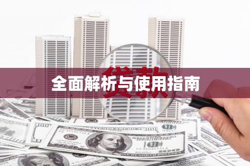 路环岛全面解析与使用指南