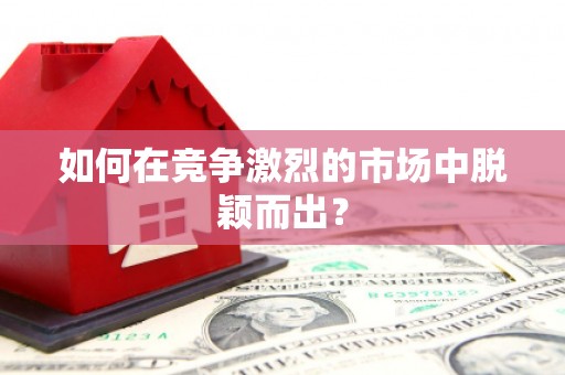 路环岛如何在竞争激烈的市场中脱颖而出？