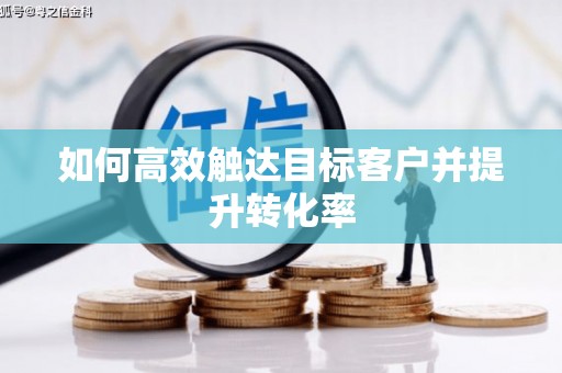 路环岛如何高效触达目标客户并提升转化率