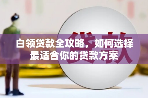 路环岛白领贷款全攻略，如何选择最适合你的贷款方案