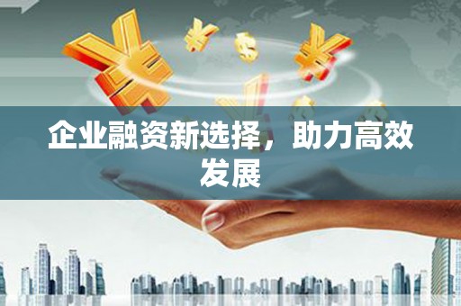 路环岛企业融资新选择，助力高效发展