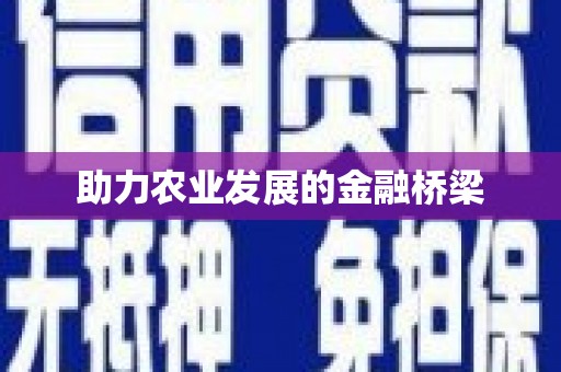 路环岛助力农业发展的金融桥梁