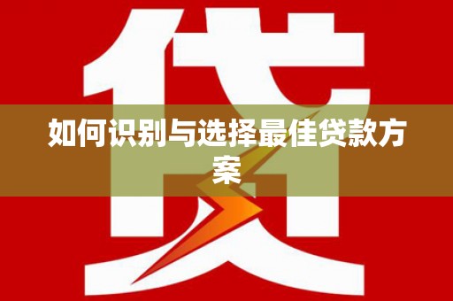 路环岛如何识别与选择最佳贷款方案