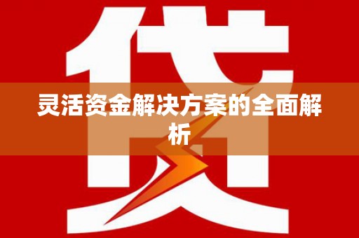 路环岛灵活资金解决方案的全面解析