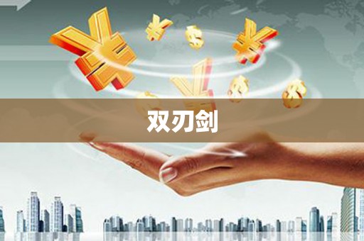 路环岛双刃剑
