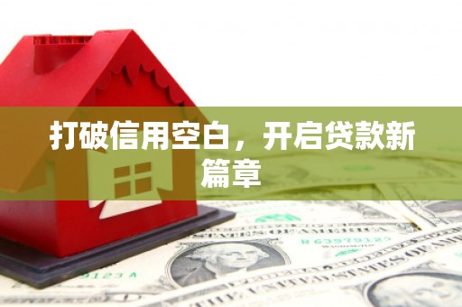 路环岛打破信用空白，开启贷款新篇章