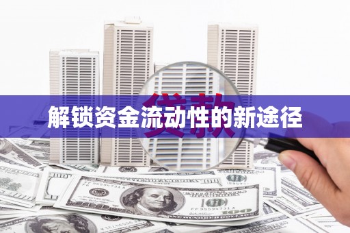 路环岛解锁资金流动性的新途径