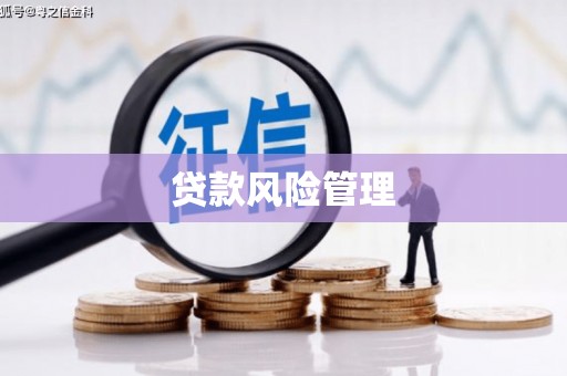 路环岛贷款风险管理