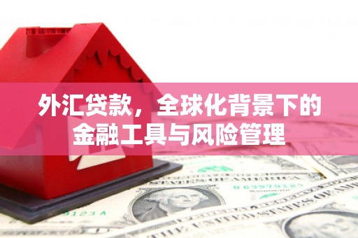 路环岛外汇贷款，全球化背景下的金融工具与风险管理