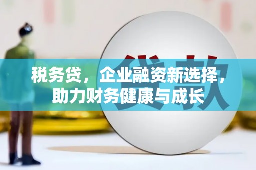 路环岛税务贷，企业融资新选择，助力财务健康与成长