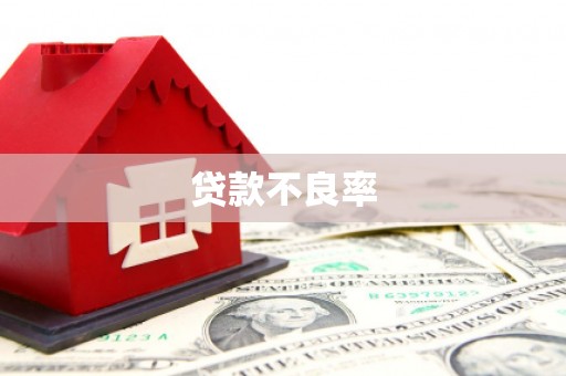 路环岛贷款不良率
