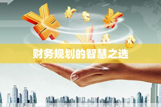 路环岛财务规划的智慧之选