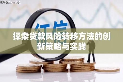 路环岛探索贷款风险转移方法的创新策略与实践